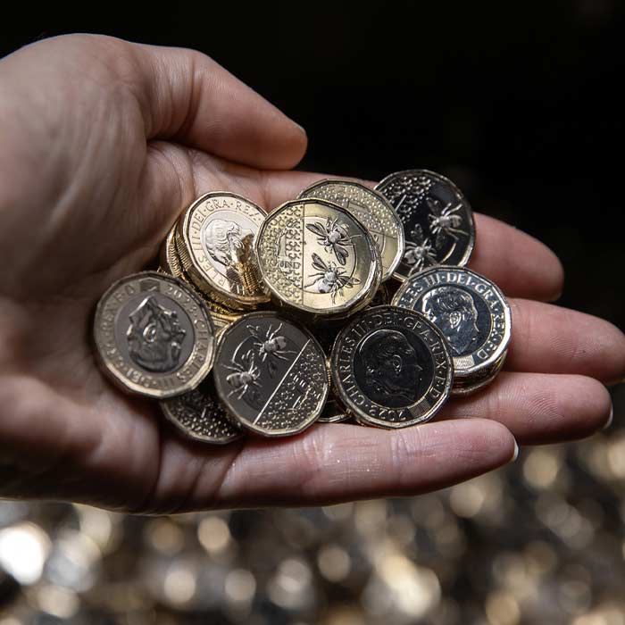 King Charles’ £1 coin Featuring British Bees Buzzes into Circulation