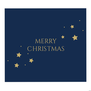 Christmas Brilliant Uncirculated Coin Gift Wrapping