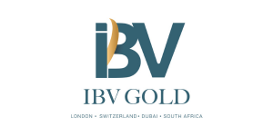 ibv logo